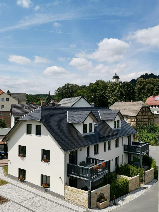 Apartment Vetter "Haentzschelstiege" Kurort Gohrisch Εξωτερικό φωτογραφία